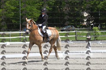 BEA_8644.JPG