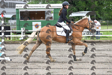 BEA_6142.JPG