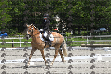 BEA_8643.JPG