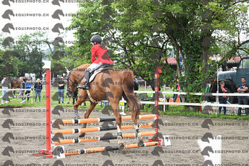 BEA_6701.JPG