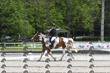 BEA_8219.JPG