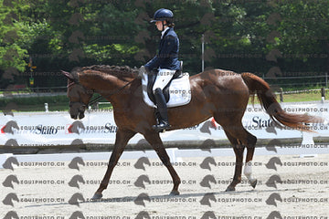 BEA_3329.JPG