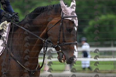 BEA_6725.JPG