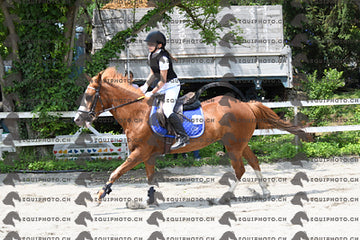 BEA_0082.JPG