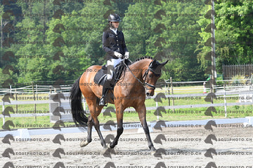 BEA_1646.JPG