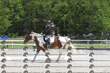 BEA_8215.JPG
