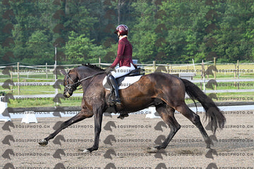 BEA_0295.JPG