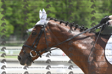 BEA_7909.JPG