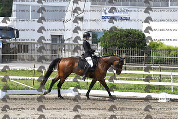 BEA_1650.JPG