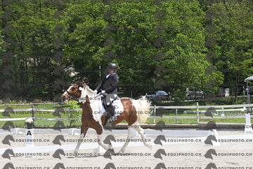 BEA_8220.JPG