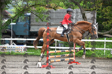 BEA_6452.JPG