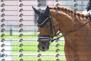 BEA_2952.JPG