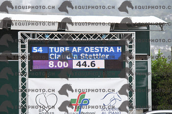 BEA_1139.JPG