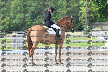 BEA_1354.JPG
