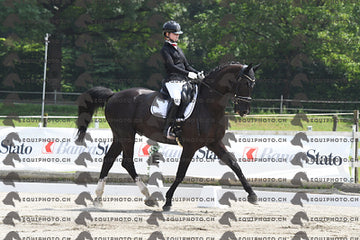 BEA_3461.JPG