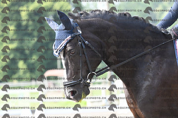 BEA_1271.JPG