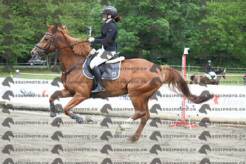 BEA_7736.JPG