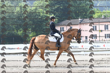 BEA_1350.JPG