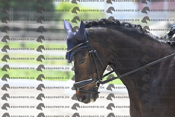 BEA_3039.JPG