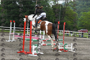 BEA_6921.JPG