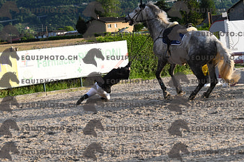BEA_3422.JPG