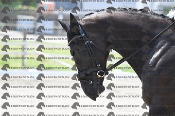 BEA_3152.JPG