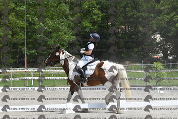 BEA_9013.JPG