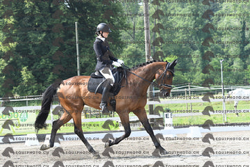 BEA_1636.JPG