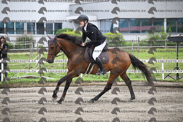 BEA_6659.JPG