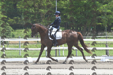 BEA_3351.JPG