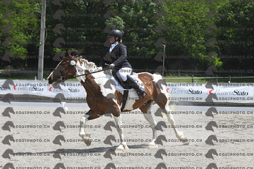 BEA_8206.JPG