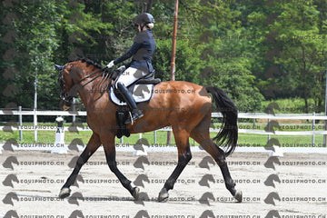 BEA_3400.JPG
