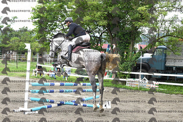 BEA_7526.JPG