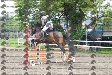 BEA_7133.JPG