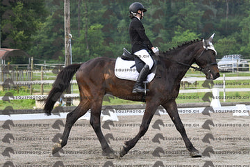 BEA_0625.JPG