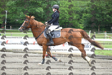 BEA_7735.JPG