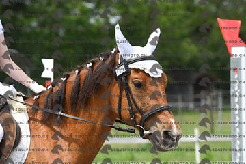 BEA_8617.JPG