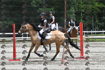 BEA_9608.JPG