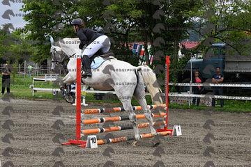 BEA_7084.JPG