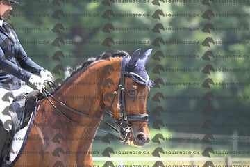 BEA_3405.JPG