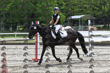 BEA_8827.JPG