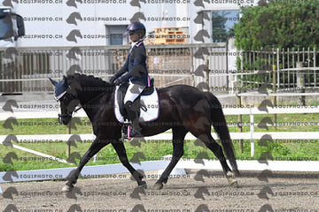 BEA_1203.JPG
