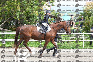 BEA_8024.JPG