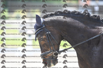 BEA_3040.JPG
