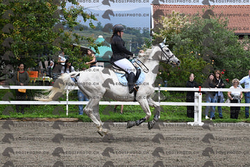BEA_7080.JPG