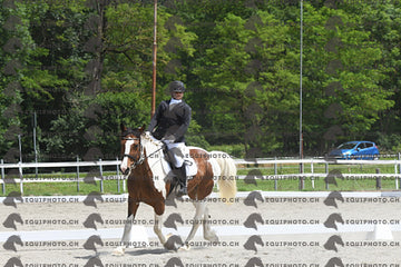 BEA_8217.JPG
