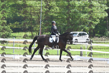 BEA_3247.JPG