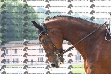BEA_1707.JPG
