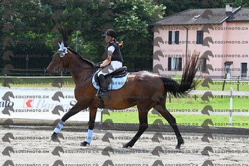 BEA_8723.JPG