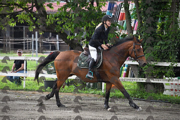 BEA_7711.JPG
